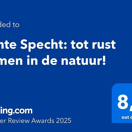 Bonte Specht: Tot Rust Komen In De Natuur! 欧特罗 外观 照片