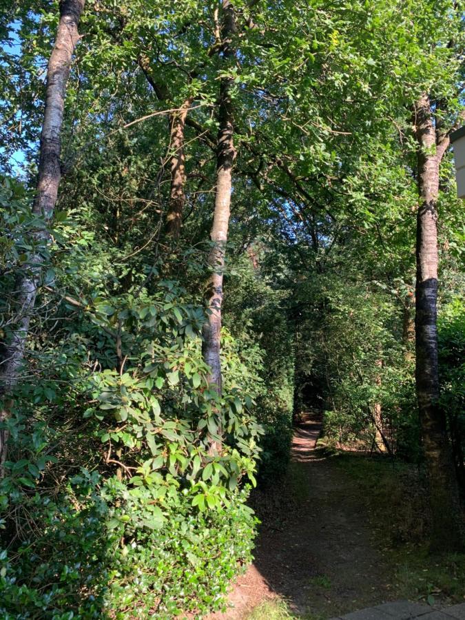 Bonte Specht: Tot Rust Komen In De Natuur! 欧特罗 外观 照片