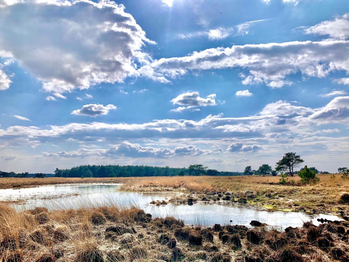 Bonte Specht: Tot Rust Komen In De Natuur! 欧特罗 外观 照片